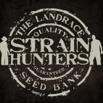 strain hunters