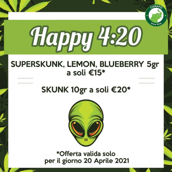 offerte 420
