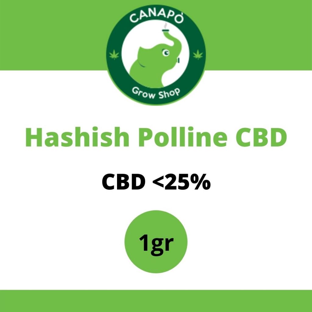 hash polline cbd legal hash