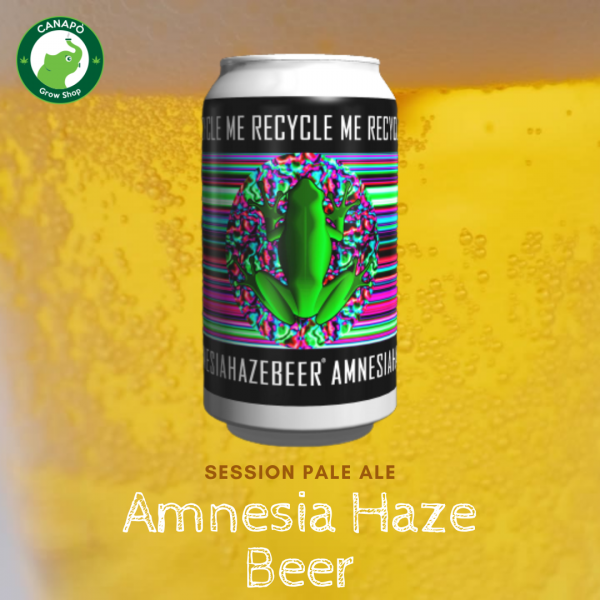 amnesia haze beer session pale ale birra alla canapa