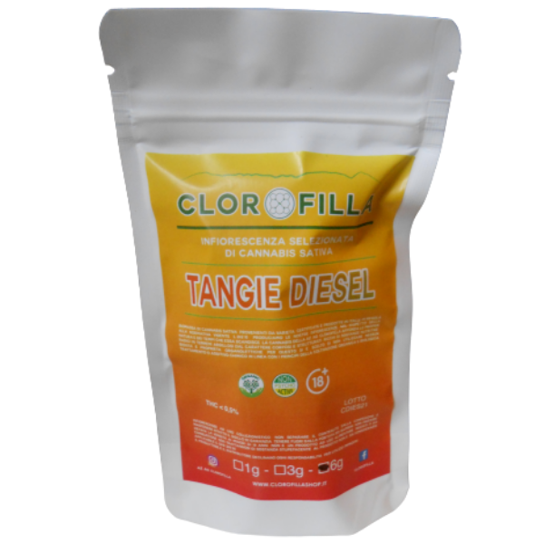tangie diesel cbd clorofilla cannabis light