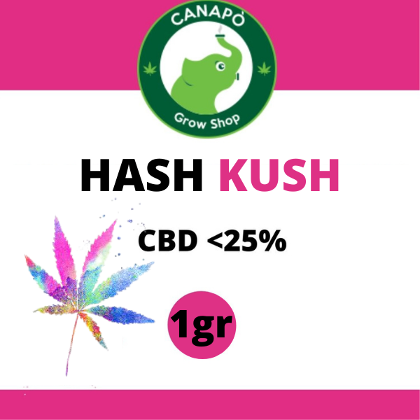 hash kush cbd legal hash