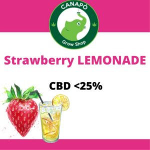 Strawberry Lemonade CBD