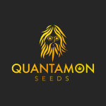 quantamon seeds seed bank italiana semi cannabis