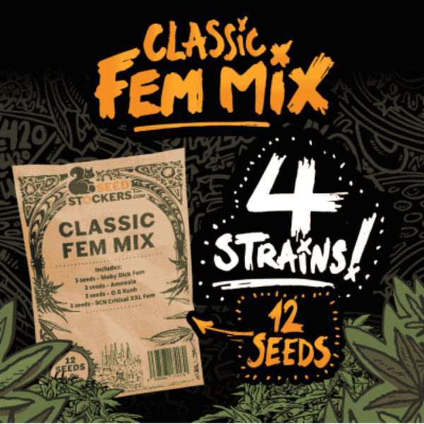 classic fem mix seedstockers