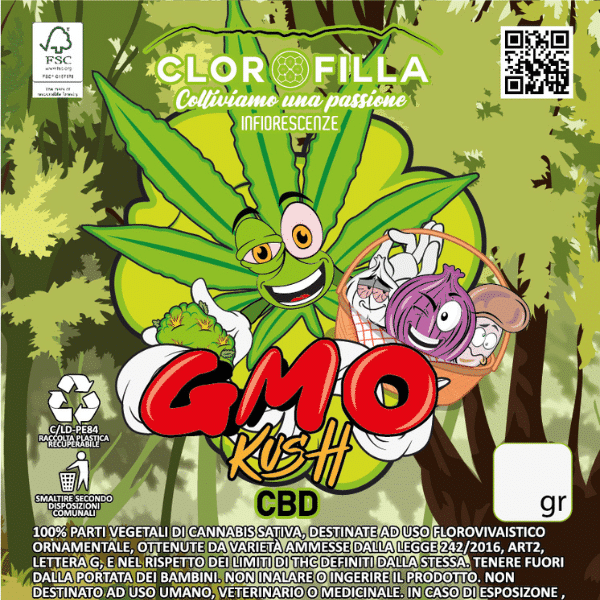 gmo kush cbd clorofilla
