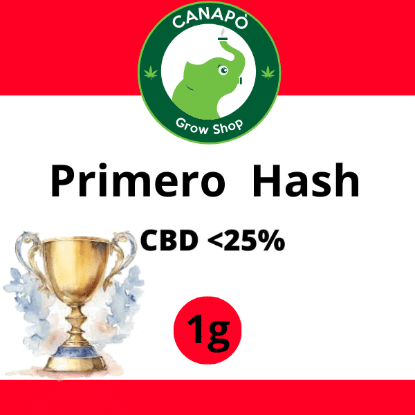 primero hash