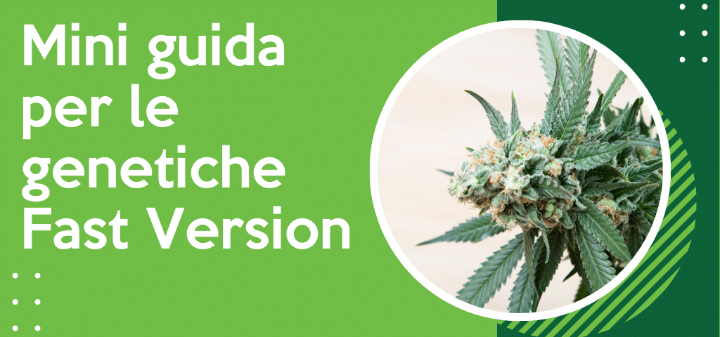 Mini guida per le genetiche fast version